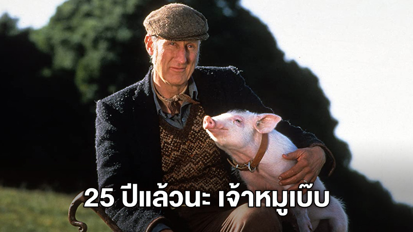 ครบรอบ 25 ปี "Babe หมูน้อยหัวใจเทวดา" หนังในวัยเด็ก..ยังประทับใจไม่รู้ลืม