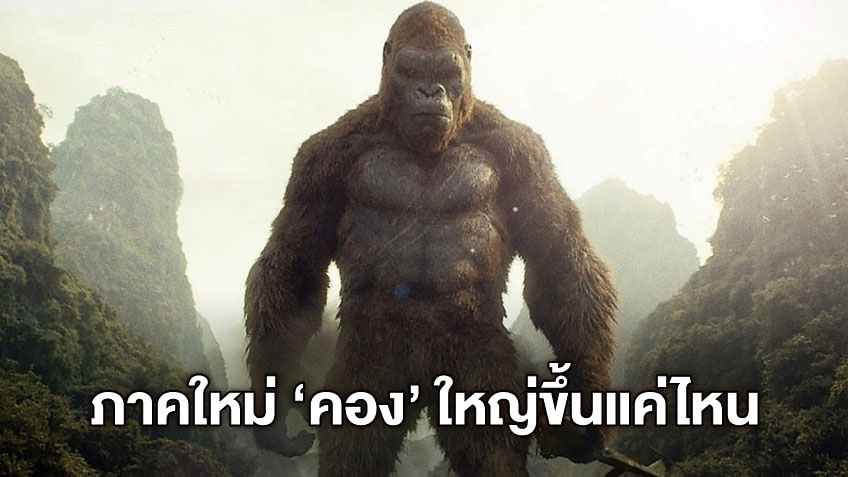คองตัวโตกว่าที่เกาะกะโหลกแค่ไหน? ก่อนศึกใหญ่ปะทะ "Godzilla vs. Kong"