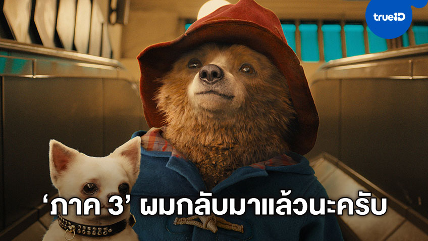 พี่หมีได้ไปต่อ "Paddington 3" รับไฟเขียว สร้างต่อเติมเต็มเป็นฉบับไตรภาค