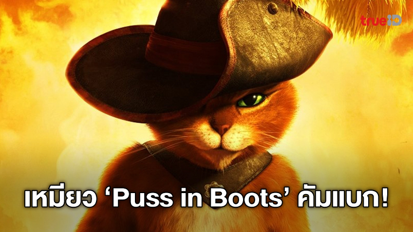 ทาสแมวเตรียมจำยอม "Puss in Boots 2" ภาคต่อเหมียวสายบู๊ ได้วันฉายแล้ว