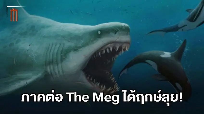 มันกลับมาแล้ว! เตรียมออกล่าฉลามยักษ์อีกครั้ง "The Meg 2" เริ่มถ่ายทำสัปดาห์หน้า