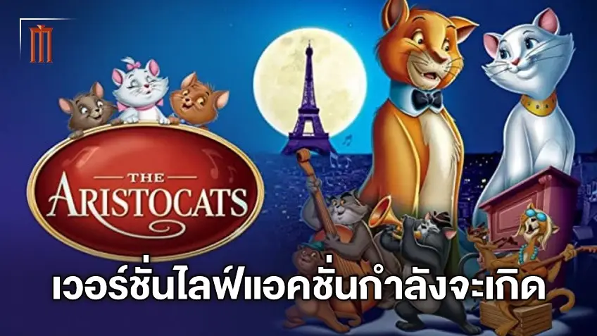 ดิสนีย์ เตรียมสร้าง Aristocats แอนิเมชั่นสุดคลาสสิค สู่ฉบับไลฟ์แอคชั่น