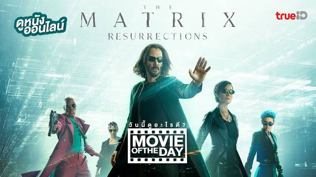 The Matrix Resurrections ✋👩‍💻 แนะนำหนังน่าดูประจำวันที่ทรูไอดี (Movie of the Day)