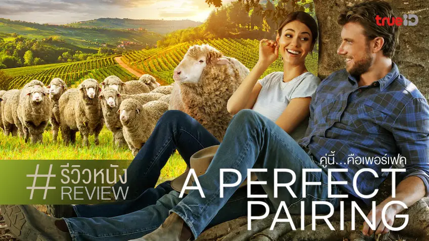 รีวิวหนัง A Perfect Pairing คู่นี้...คือเพอร์เฟค 💖🐑 โรแมนซ์..เน่าดั่งละครในปี 2022