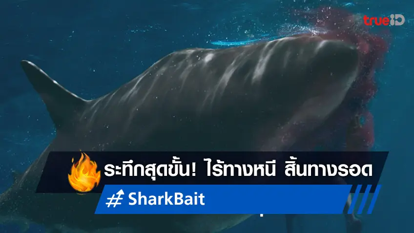 สู่นาทีไร้ทางหนี ไม่มีทางรอด "Shark Bait ฉลามคลั่งซัมเมอร์นรก" ระทึกสุดขั้น..วันนี้!