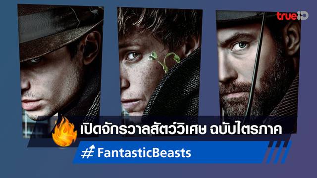 ดูหนังออนไลน์ Fantastic Beasts ทั้ง 3 ภาค ✨🔮 ได้เวลาเติมเต็มจักรวาลเวทมนตร์