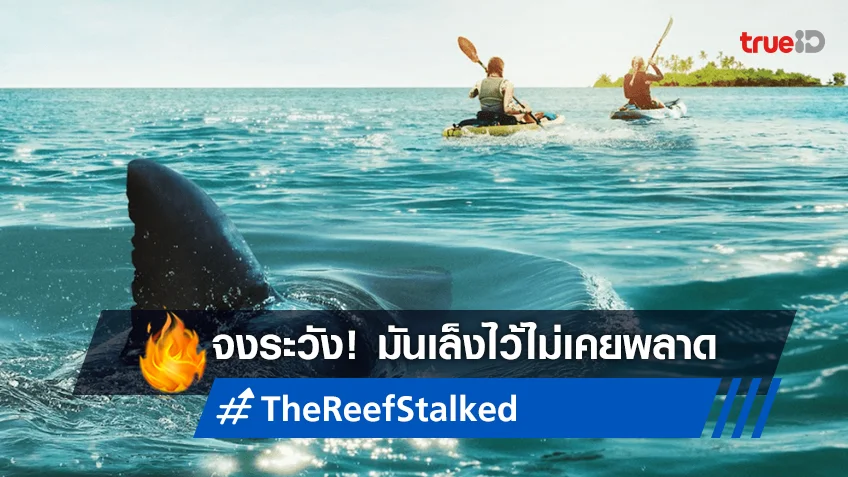 เหยื่อแค่อึดใจ..มันเล็งใครไม่มีคำว่าพลาด เตรียมผวาใน "The Reef: Stalked ครับพิฆาต"