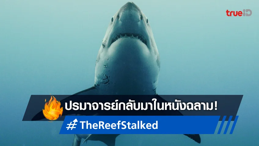 เปิดใจ แอนดรูว์ ทรอคกี้ ปรมาจารย์หนังระทึกสู่การงาบครั้งใหม่ "The Reef: Stalked ครีบพิฆาต"