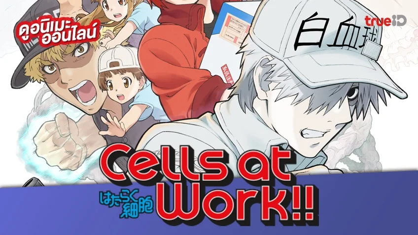 รวมลิงค์ดูการ์ตูนออนไลน์ Cells at Work! เซลล์ขยันพันธุ์เดือด แอ็คชั่นสุดมันแต่เต็มไปด้วยสาระความรู้