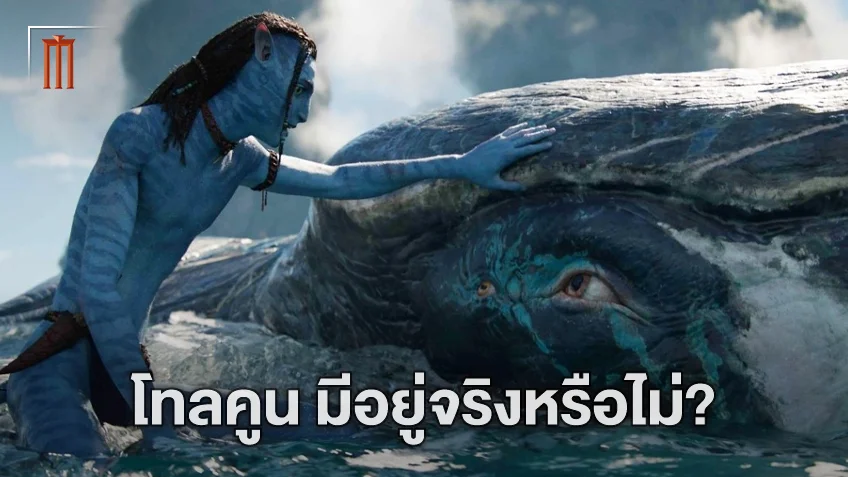 ไขความลับ Avatar 2 สมบัติล้ำค่าจากวาฬศักดิ์สิทธิ์ โทลคูน มีจริงหรือไม่?