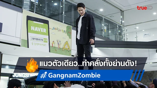แมวตัวเดียวคลั่งทั้งคังนัม เปิดตัวอย่าง "Gangnam Zombie" ระทึกตั้งแต่หัวปี!