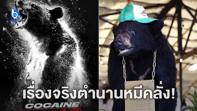 ส่องเรื่องจริงของ Pablo Eskobear เจ้าหมีเสพย์โคเคน ก่อนไปชม ‘Cocaine Bear’