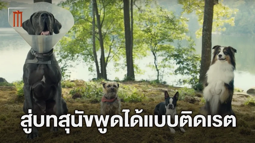 จอช กรีนบอม เผยความรู้สึกหลังสร้างปรากฏการณ์ไลฟ์แอคชั่นสุนัขติดเรต ใน "Strays ชีวิตหมาต้องไม่หมา"