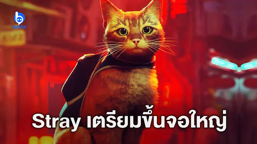 สตูดิโอดังเตรียมดัดแปลงแมวพเนจร "Stray" เกมคุณภาพแห่งปี 2022 เป็นหนังแอนิเมชั่น