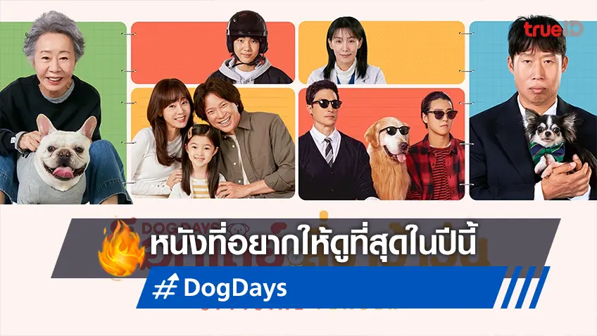 หนังที่อยากดูที่สุดแห่งปี "Dog Days ด็อกเดย์ สี่ขาว้าวุ่น" ชุลมุนน้อนหมาตัวป่วน