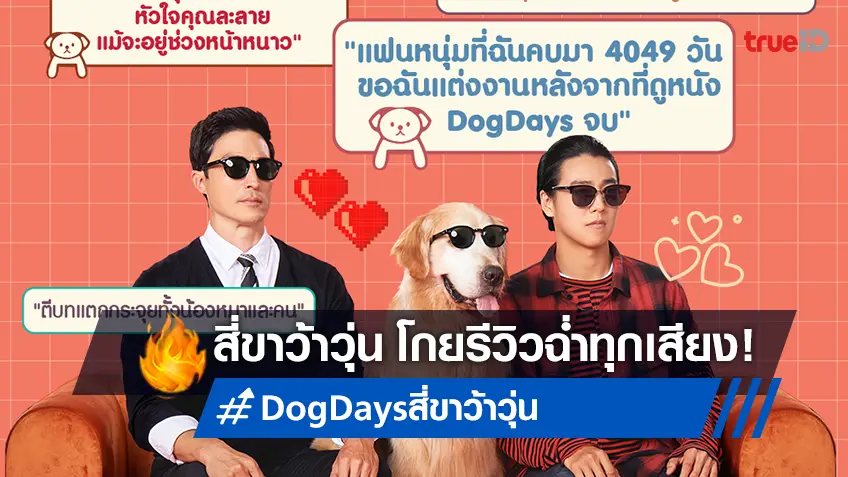 รีวิวยกให้ฉ่ำ! "Dog Days สี่ขาว้าวุ่น" หนังเกาหลีเรื่องล่าสุด ที่เปิดตัวสูงสุดในรอบสัปดาห์