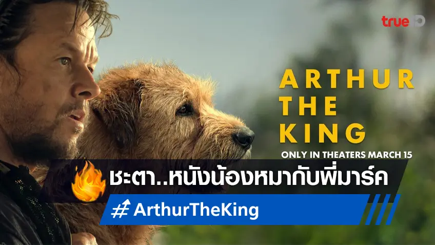"Arthur the King" หนังฟีลดีของ มาร์ค วอห์ลเบิร์ก จะทำเงินไปได้สักเท่าไหร่?
