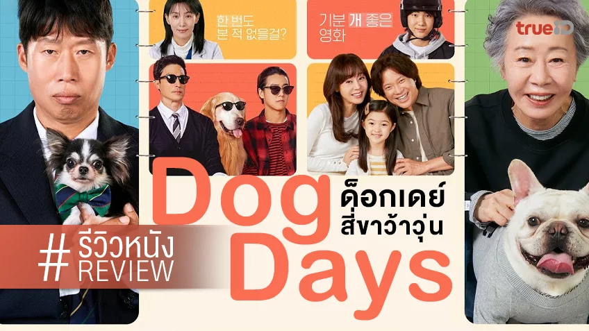 รีวิวหนัง “Dog Days ด็อกเดย์ สี่ขาว้าวุ่น” พลานุภาพแห่งน้อนหมา ที่ยิ้มทั้งน้ำตาไปตลอดเรื่อง