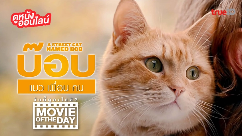A Street Cat Named Bob - หนังน่าดูที่ทรูไอดี (Movie of the Day)
