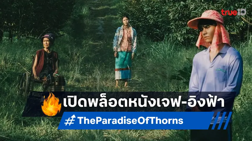 เปิดพล็อต "The Paradise of Thorns" หนังจีดีเอชปลายปีนี้ เจฟ ซาเตอร์ พบ อิงฟ้า