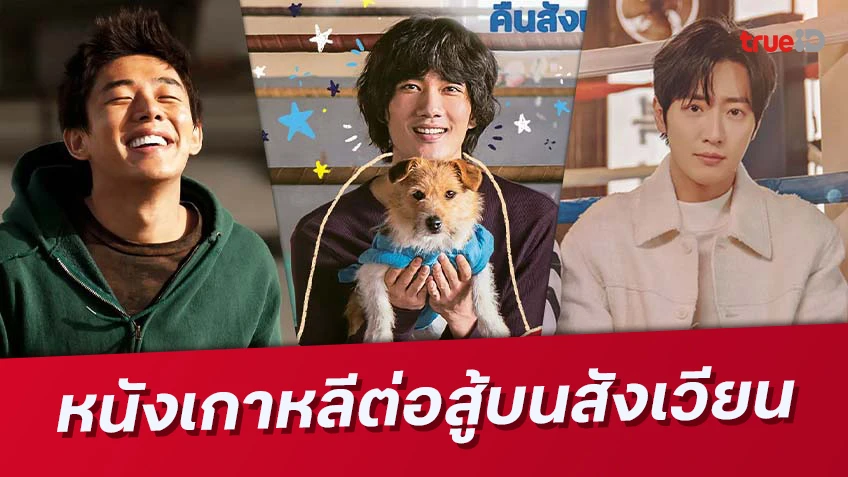 3 หนัง-ซีรีส์เกาหลี แนวกีฬาชกมวย สู้สุดใจ ไฟต์บนสังเวียน