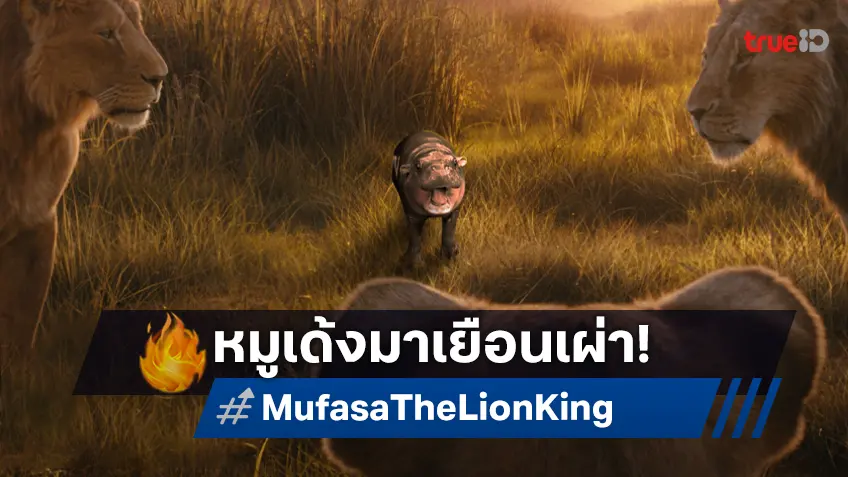 วอลท์ ดิสนีย์ พา “หมูเด้ง” เยือนอาณาจักรผ่านฉากดัง ปลุกกระแส "Mufasa: The Lion King"