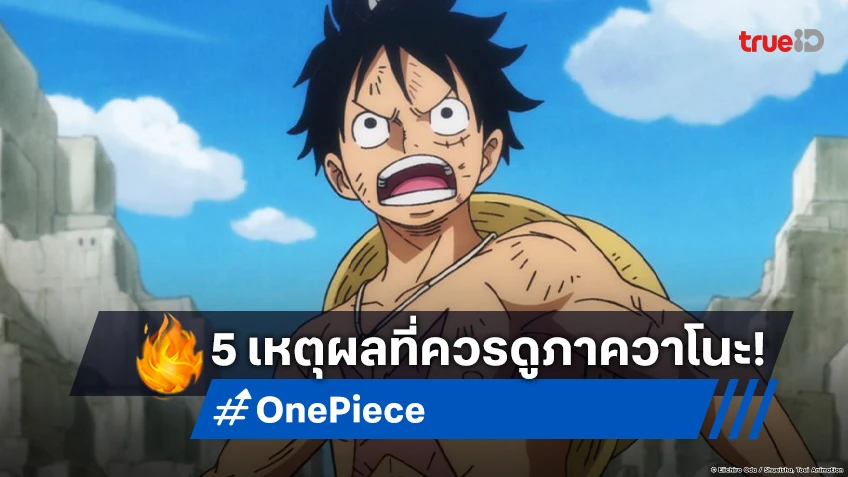 5 เหตุผลที่ไม่ควรพลาด! ดูอนิเมะ วันพีซ ภาควาโนะคุนิ ที่ทรูไอดี