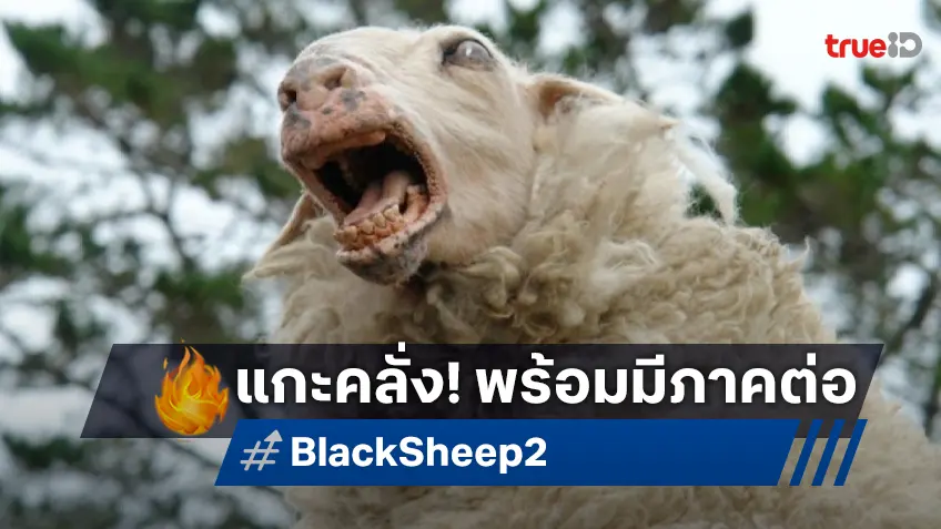 หนังสยองปนฮา "Black Sheep แกะชำแหละคน" กำลังมีภาคใหม่ในรอบ 20 ปี