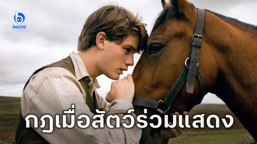 เจาะกระบวนการคุ้มครองสัตว์ในกองถ่ายของภาพยนตร์ฮอลลีวูด