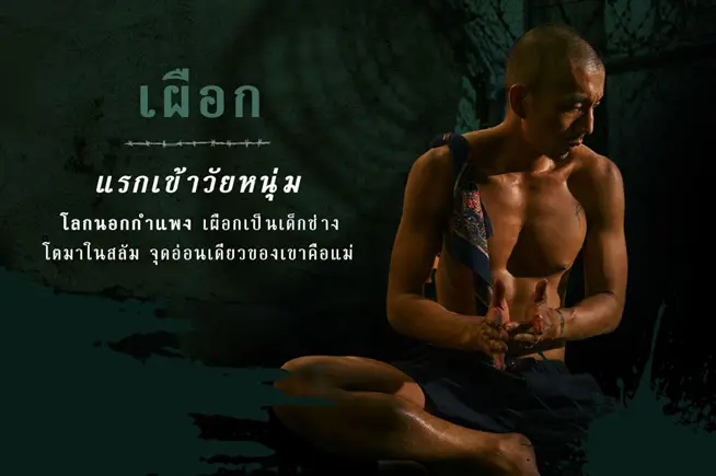 วัยหนุ่ม 2544