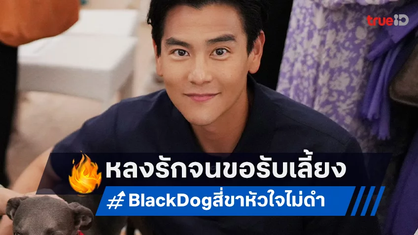 เอ็ดดี้ เผิง อินบทรับเลี้ยง เจ้าซิน สุนัขแสนรู้  จาก "Black Dog สี่ขาหัวใจไม่ดำ"