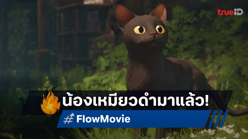 สิ้นสุดการรอคอย "Flow" แอนิเมชันไร้บทพูดกับเหมียวดำ พร้อมลงโรงฉายทั่วไทย