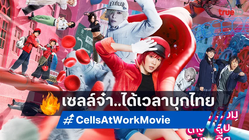 ฉายแสงฯ คว้าไลฟ์แอ็คชันพันล้าน "Cells at Work! เซลล์ขยันพันธุ์เดือด" เตรียมเช็คบอดี้มีนาคมนี้