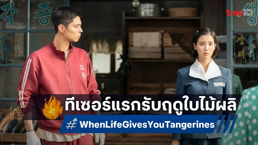 ตัวอย่างแรกรับฤดูใบไม้ผลิ "When Life Gives You Tangerines ยิ้มไว้ในวันที่ส้มไม่หวาน"