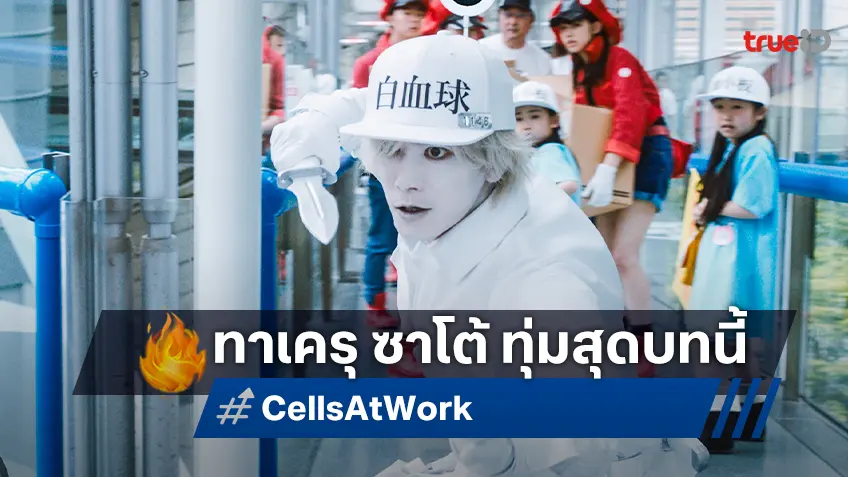 ทาเครุ ซาโต้ ทุ่มการแสดงเป็นซูเปอร์ฮีโร่ "เซลล์ขยันพันธุ์เดือด Cells at Work!"