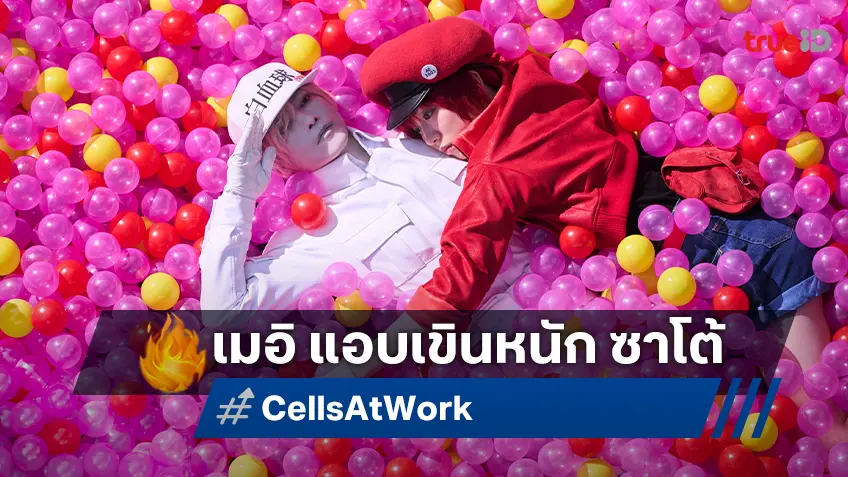 เมอิ นากาโนะ เขินหนัก ซาโต้ เสิร์ฟบู๊ชวนหลงใน "เซลล์ขยันพันธุ์เดือด Cells at Work!"