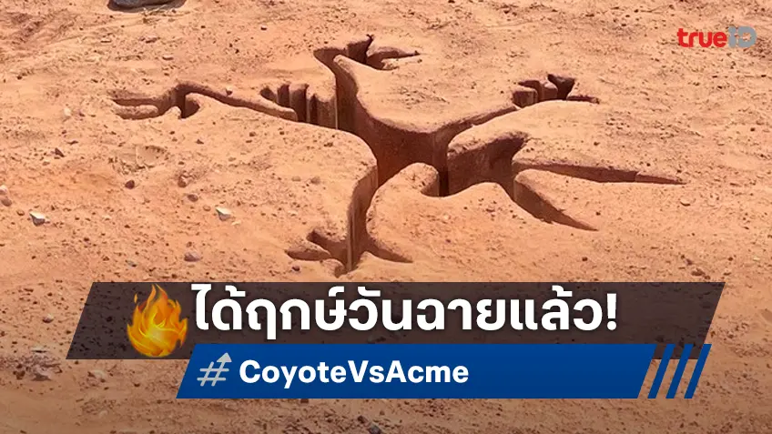 เกือบหลับแต่กลับมาได้ "Coyote vs. Acme" ได้ฤกษ์วันฉายและเปิดตัวภาพชุดใหม่จากหนัง
