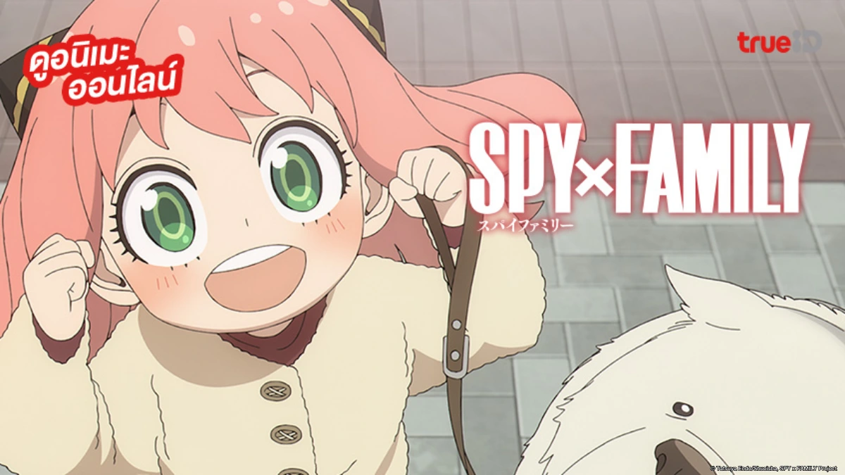 รวมลิงค์ดูอนิเมะ SPY x FAMILY Season 1-3 สปาย x แฟมิลี ซีซัน 3 ตอนล่าสุด