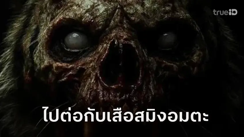 "สมิงเขาขวาง" หนังภาคต้นของธี่หยด ณเดชน์ หวนคู่ โบว์ เมลดา วางคิวฉายเวลาเดิมปี 2569