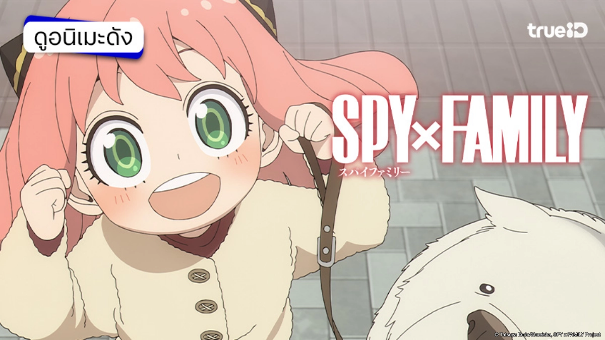 รวมลิงค์ดูอนิเมะ SpyxFamily - สปายxแฟมิลี Season ซีซัน 1-3