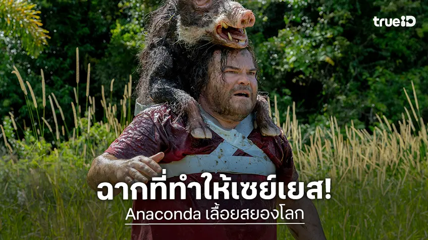 มันจะมีอยู่ฉากนึง! แจ็ค แบล็ค ตอนรับเล่น "Anaconda" ทันที เพียงแค่หมูป่าสุดบ้าคลั่งฉากเดียว!