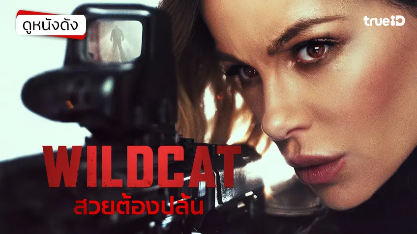 Wildcat สวยต้องปล้น - ดูหนังเต็มเรื่องที่ทรูไอดี (Movie of the Day)