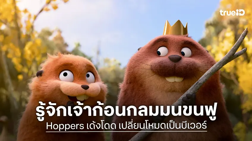ชวนรู้จักเจ้าก้อน “บีเวอร์” สิ่งมีชีวิตกลมมนขนฟู ก่อนไปดู "Hoppers เด้งโดด เปลี่ยนโหมดเป็นบีเวอร์"