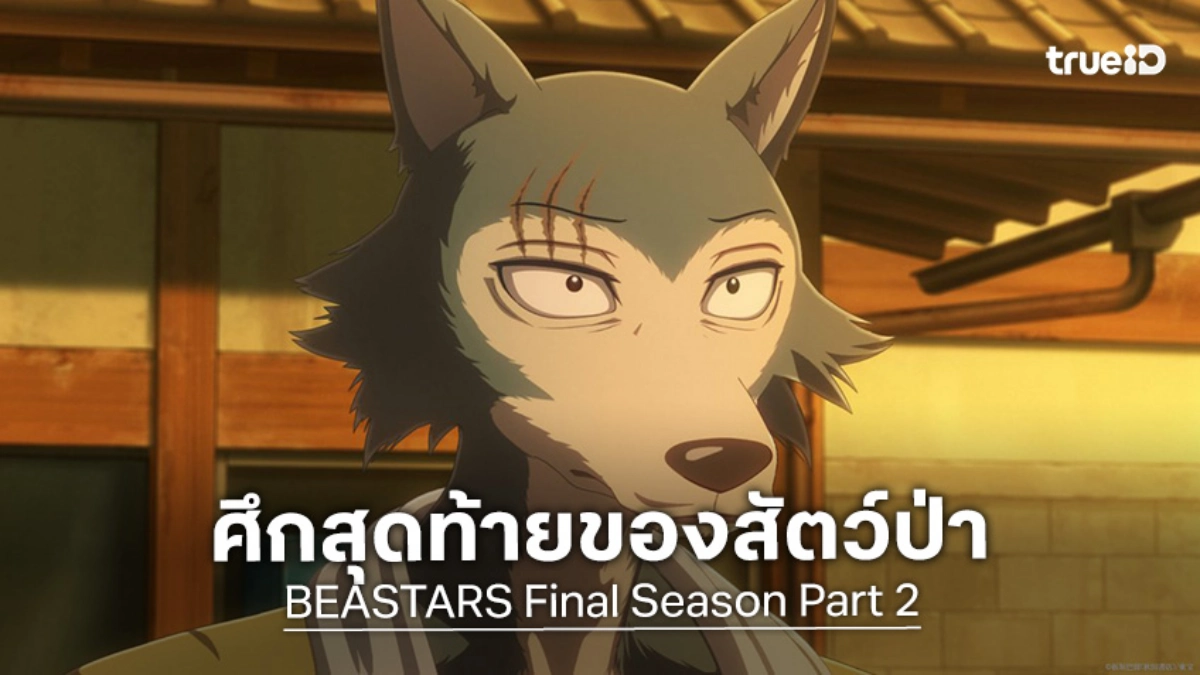 เตรียมปิดตำนาน! "BEASTARS Final Season Part 2" เผยวันฉาย พร้อมดรามาจัดเต็ม