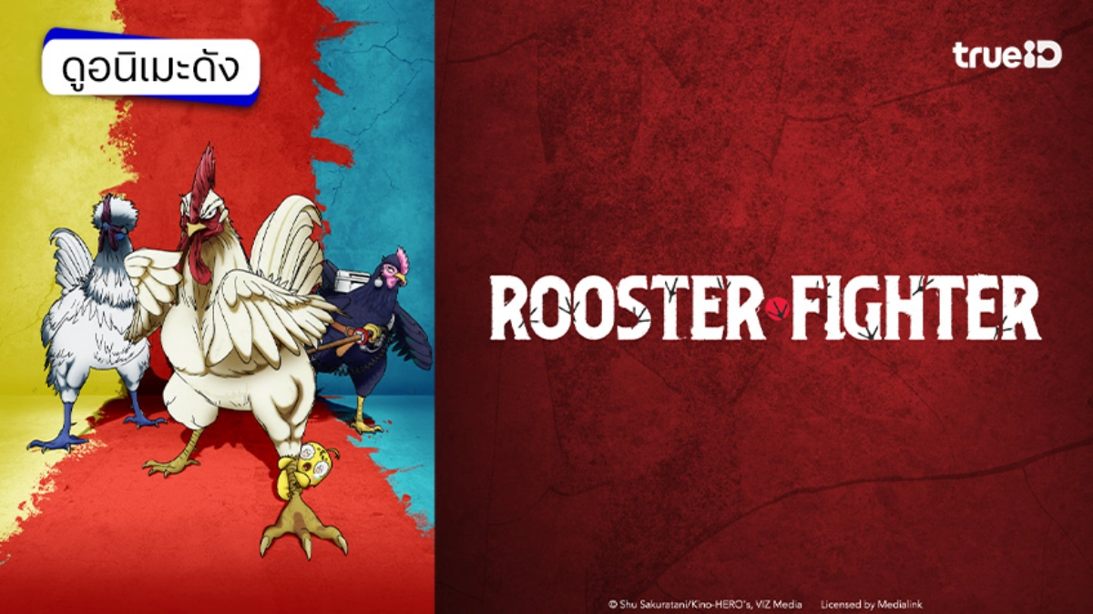 รวมลิงค์ดูอนิเมะ Rooster Fighter ยอดไก่นักสู้กู้โลก ซับไทย-พากย์ไทย ตอนล่าสุด