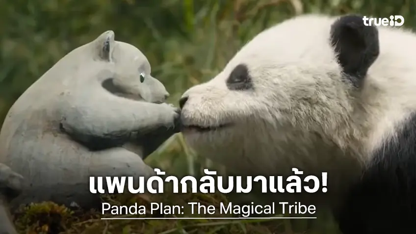 "Panda Plan: The Magical Tribe" กลับมายกระดับความหรรษา เฉินหลง คัมแบ็กทีมน่ารัก