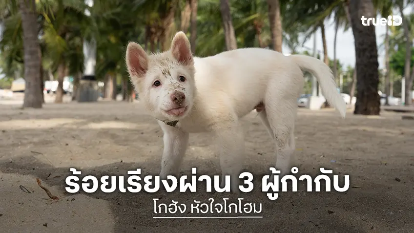 หมู-บาส-อัตต้า ผนึกกำลังกำกับ “โกฮัง..หัวใจโกโฮม” ถ่ายทอดชีวิตโกฮัง 3 ช่วงวัยสุดท้าทาย