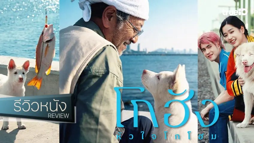 รีวิวหนัง "โกฮัง หัวใจโกโฮม" มาตรฐานใจฟูที่คุ้นเคยจากจีดีเอช โมเมนต์สี่ขาทำน้ำตาหยด