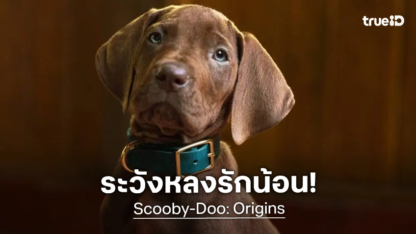 ระวังหลงน้อน! โฉมแรกซีรีส์ "Scooby-Doo" ฉบับไลฟ์แอคชัน เผยออกมาแล้ว