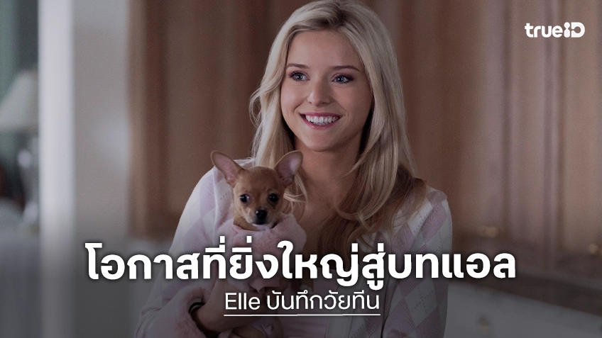 "เลซี ไมน์ทรี" เปิดใจกับโอกาสใหญ่ สวมบทสาวบลอนด์ใน "Elle บันทึกวัยทึน" ซีรีส์ภาคต้นของ Legally Blonde